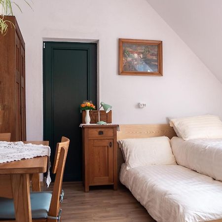 Beekeeping Kojek Apartment Ribnica Exterior photo